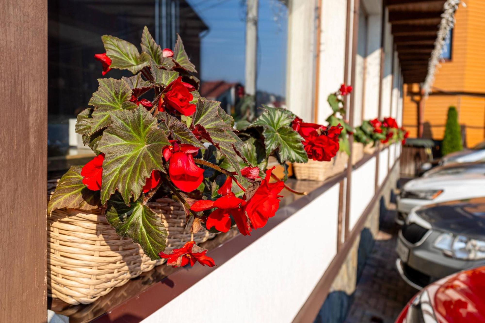 La Кrechunu Otel Bukovel Dış mekan fotoğraf